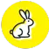 جونده