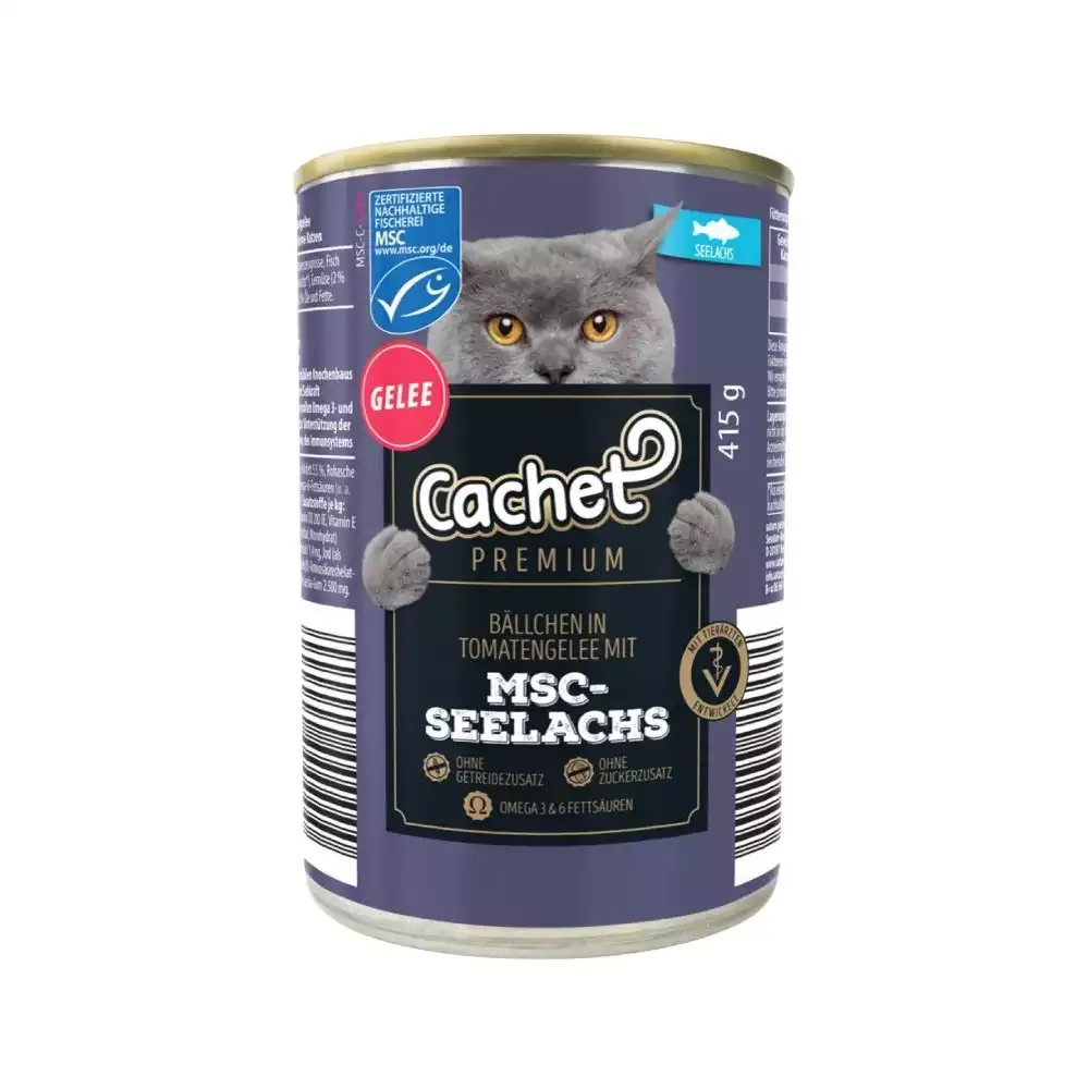 کنسرو غذای گربه کچت با طعم ماهی قزل آلا در ژله Cachet Sealach وزن 415 گرم