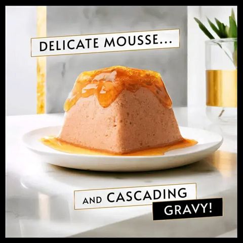 غذای کاسه ای گربه گورمت مدل دنت طعم مرغ Gourmet Revelations Mousse with Chicken وزن 57 گرم