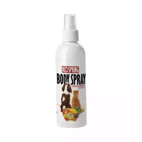 اسپری ضدعفونی کننده و تمیز کننده رداسپرینگ مدل Body Spray رایحه استوایی حجم 150 میلي لیتر